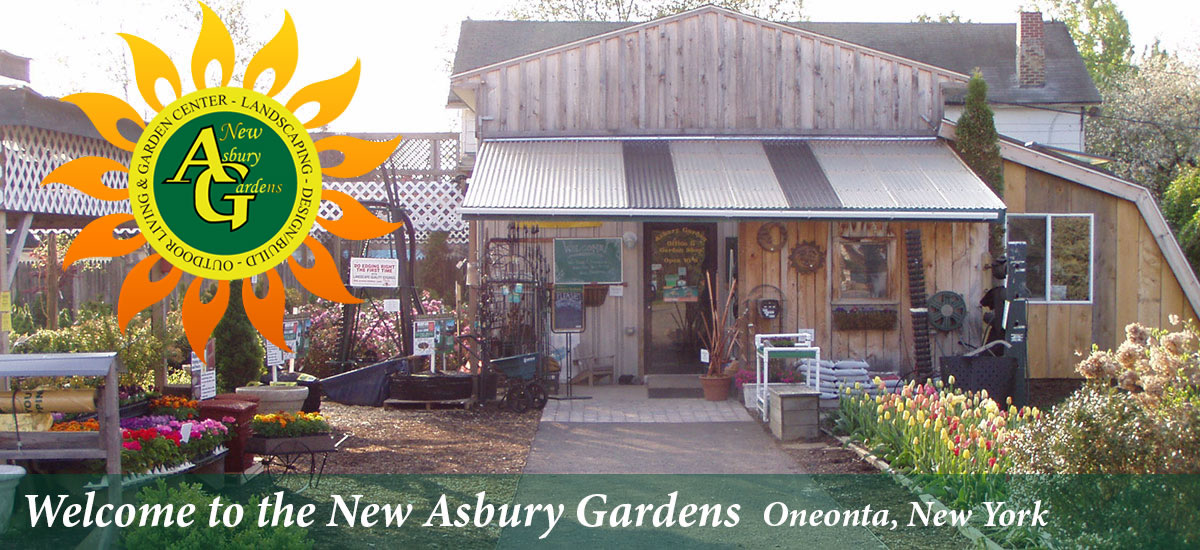 New Asbury Gardens