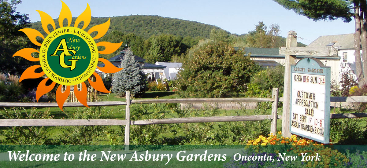 New Asbury Gardens