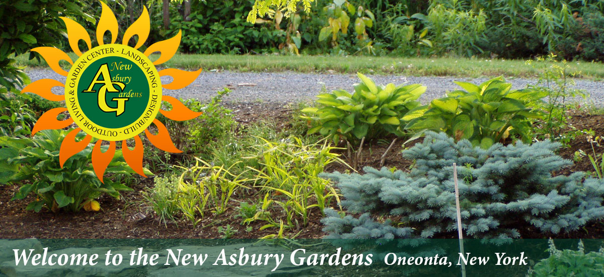 New Asbury Gardens