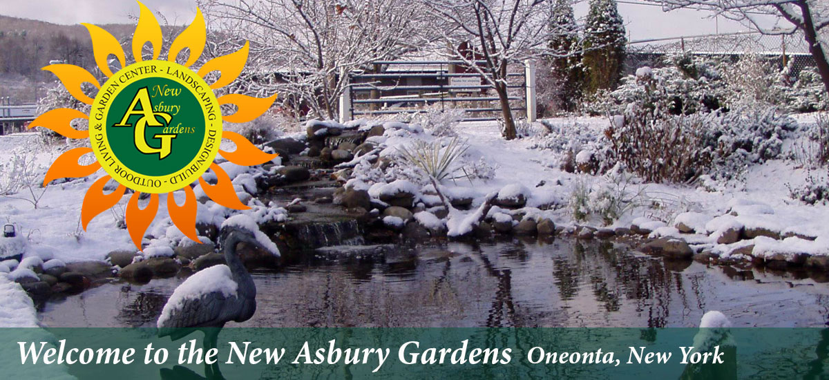 New Asbury Gardens