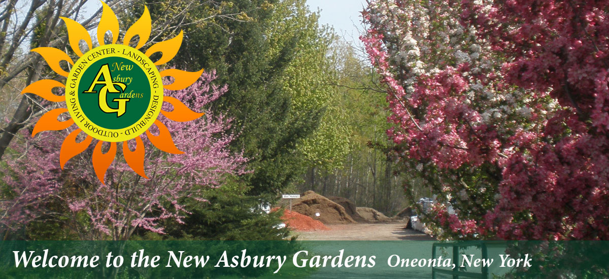 New Asbury Gardens