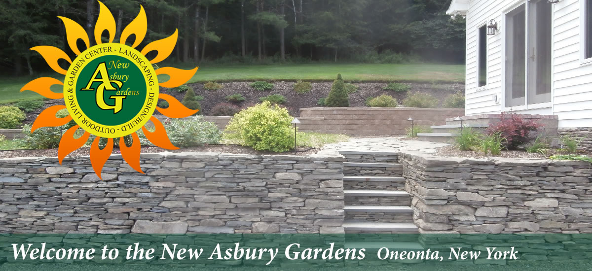New Asbury Gardens