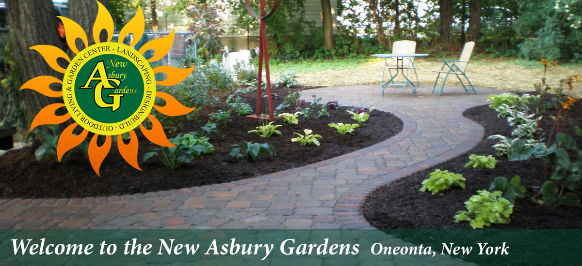 New Asbury Gardens