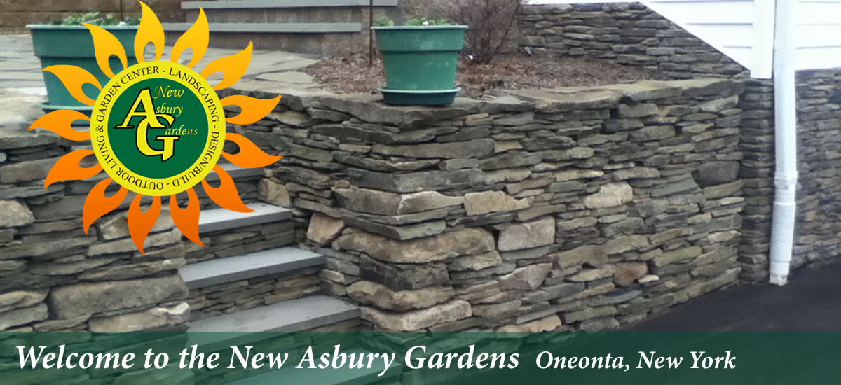 New Asbury Gardens