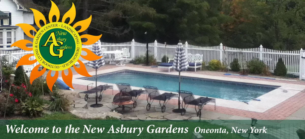 New Asbury Gardens